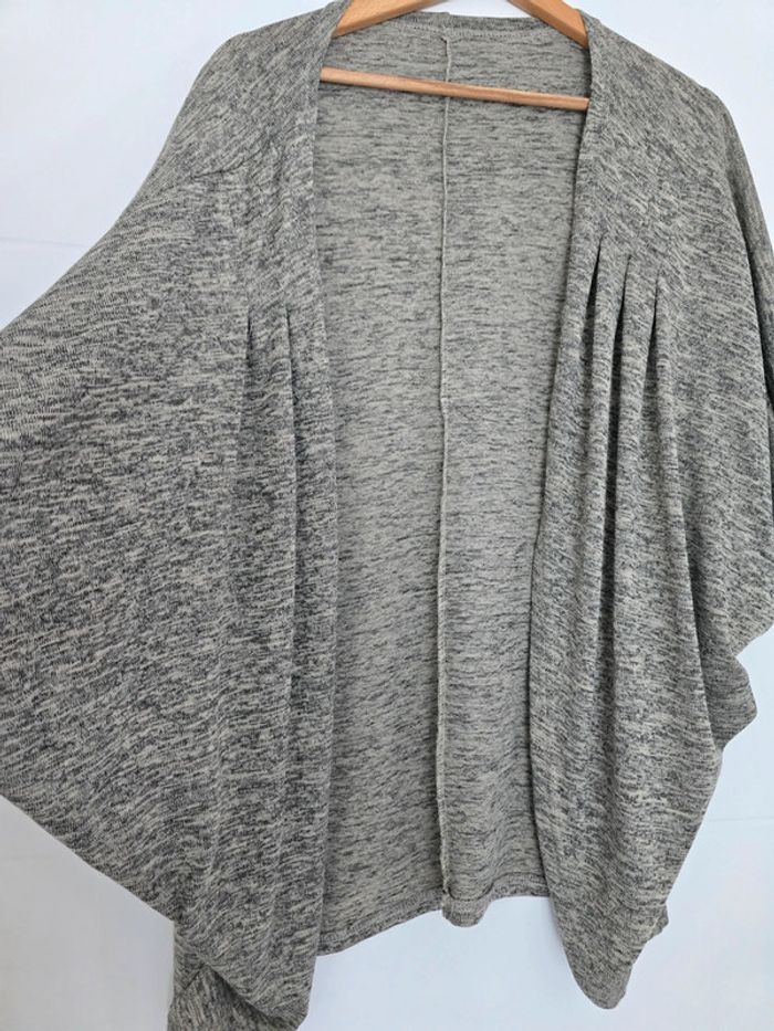 Gilet gris, manches chauve souris - photo numéro 3