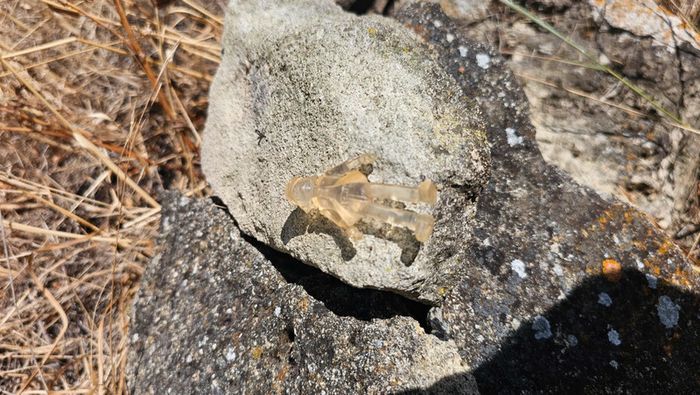 Super petite figurine Pokemon Nintendo Dresseur transparente - photo numéro 2