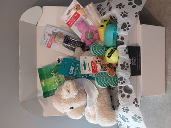 Coffret bienvenue pour chiot ou petit chien