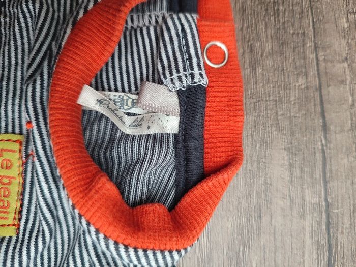 Tee-shirt 6 mois dino orchestra - photo numéro 3