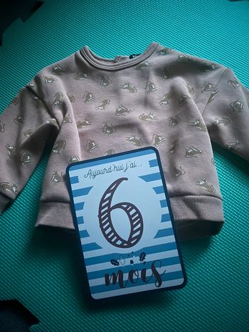 Sweat tigre Kiabi 6M