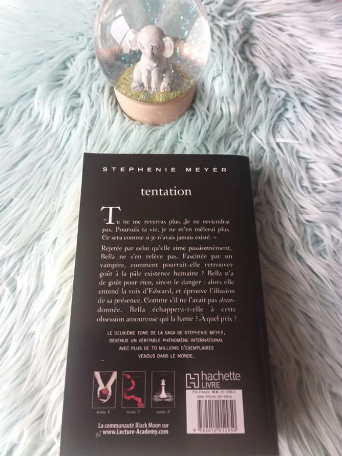 🍂 livre Twilight tome 2 : tentation - photo numéro 2