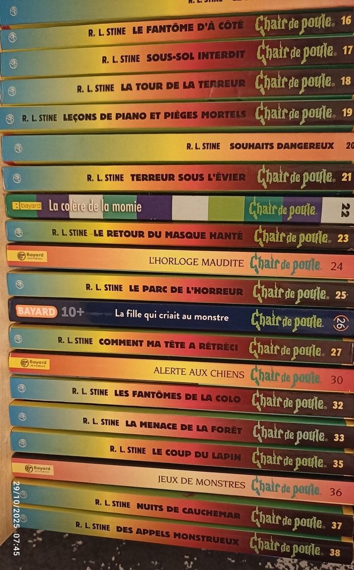 Livres Chair de Poule 2€ l'unité - photo numéro 3
