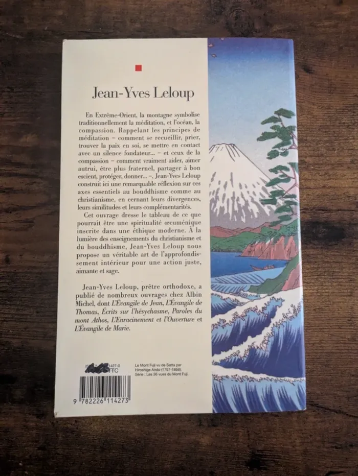 La montagne dans l'océan - photo numéro 2