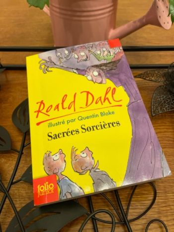 Livre folio junior à partir de 10 ans📚