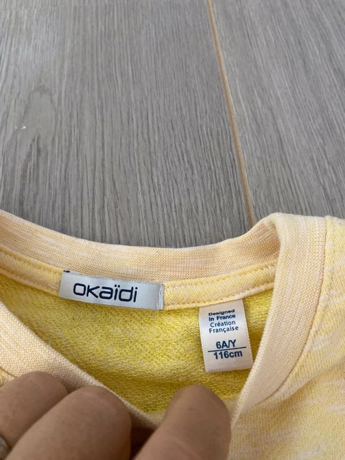 Lot 3 pulls -sweat 6 ans - photo numéro 2