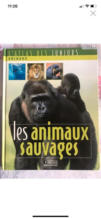 L’atlas junior les animaux sauvages