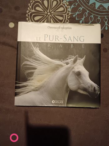 Livre sur les chevaux