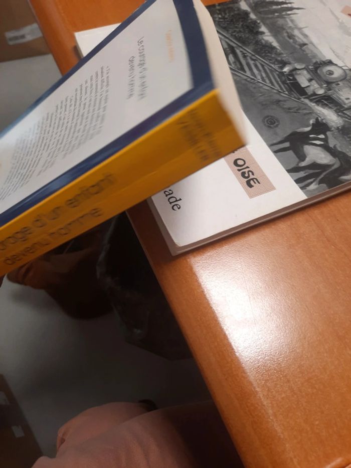 Livre extraordinaire le courage d'un enfant devenu homme - photo numéro 5