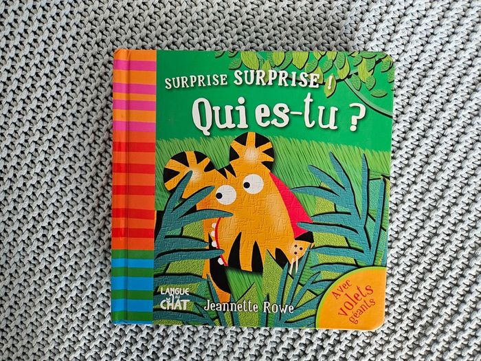 Surprise Surprise Qui es-tu?