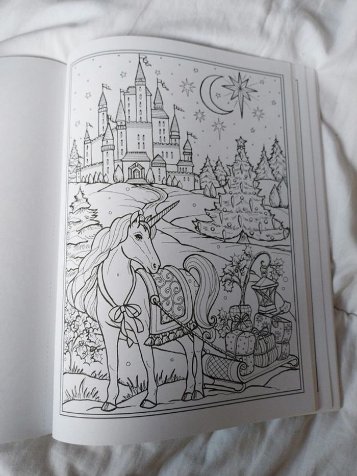 Livre à colorier enchantée christmas de Teresa goodridge - photo numéro 5
