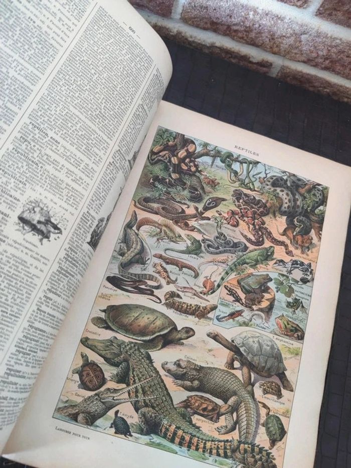 Encyclopédie Larousse illustré - Livre ancien - photo numéro 13