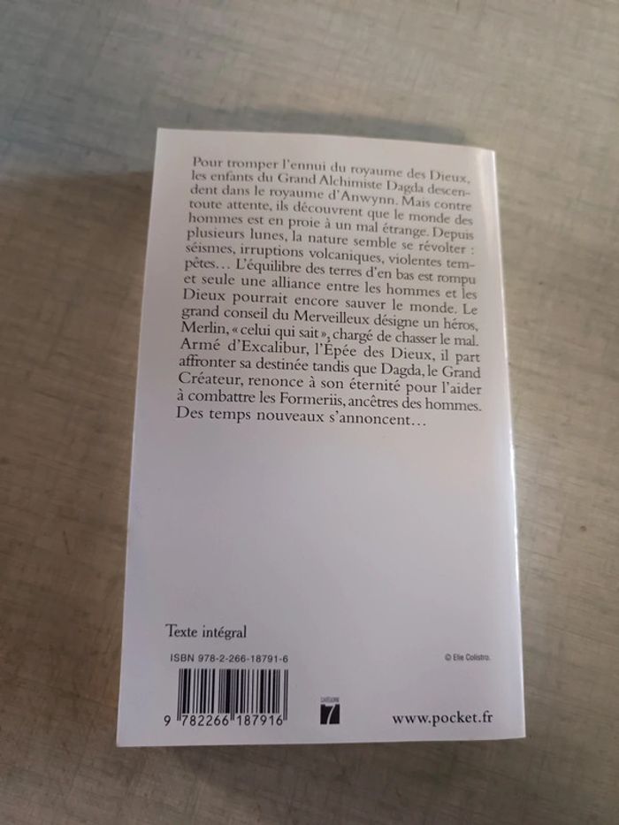 Livre Excalibur 1 le cercle du dragon - photo numéro 2