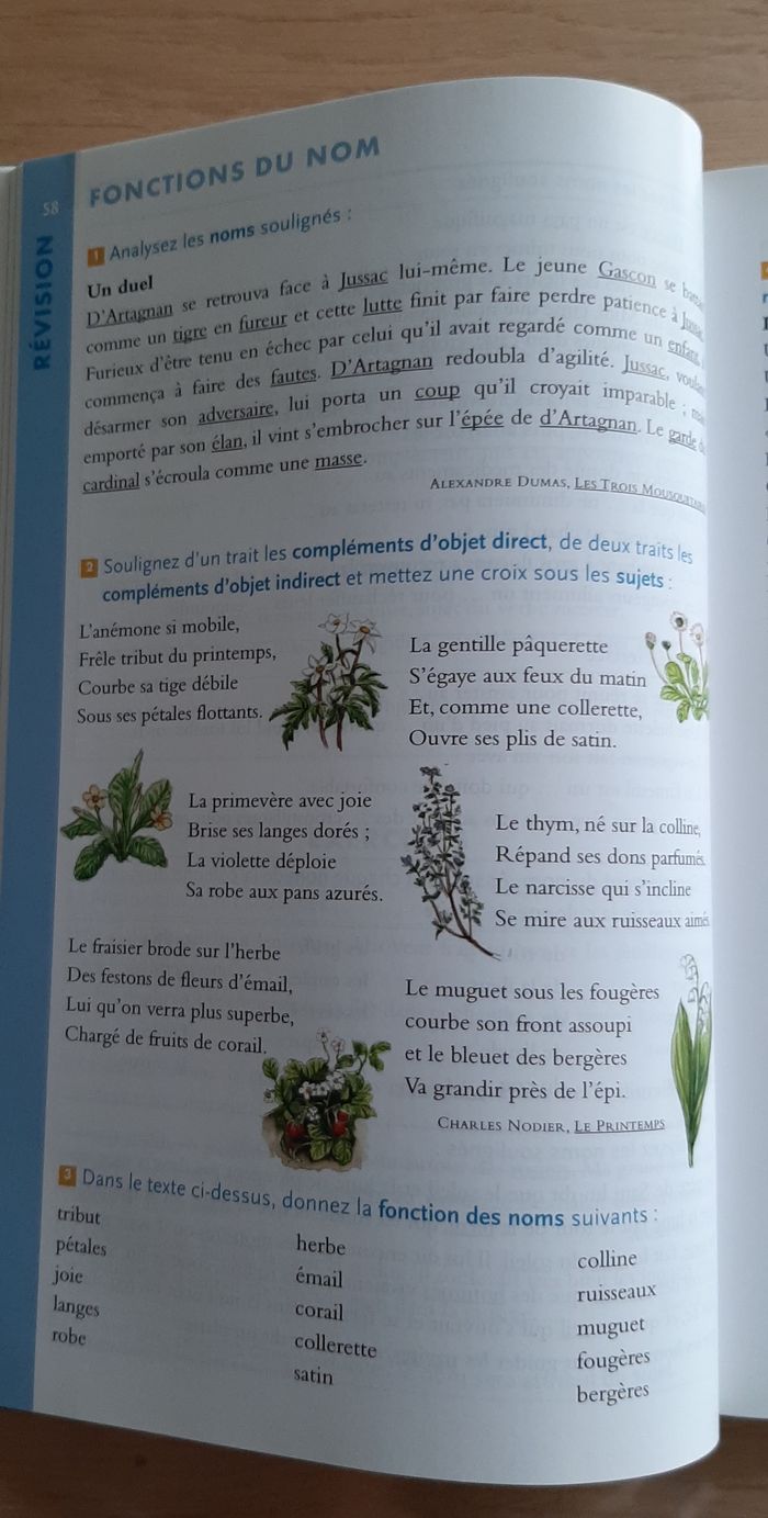 Manuel grammaire CM1-CM2 - photo numéro 3