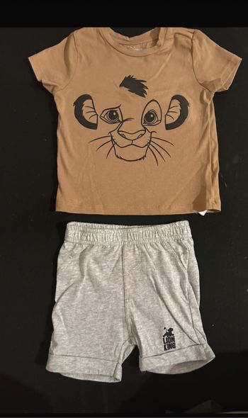 Ensemble simba