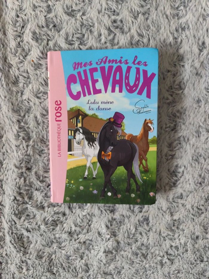 Mes amis les chevaux