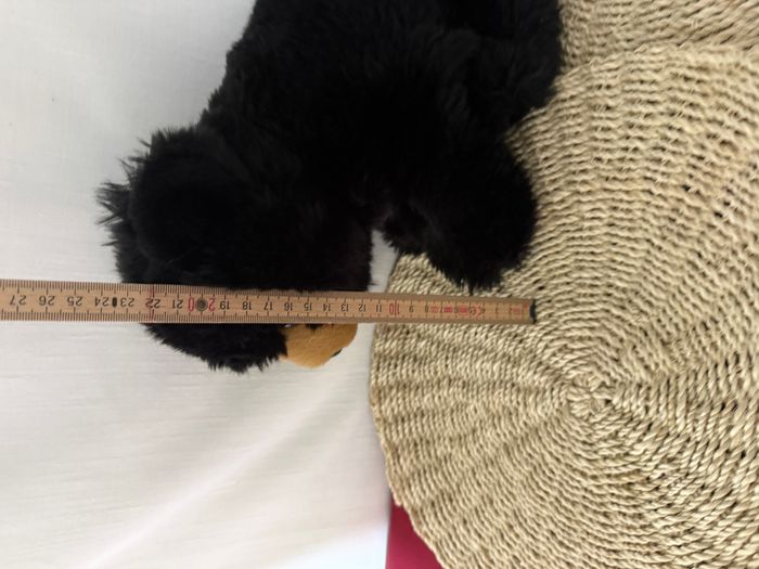 Wild Republic Peluche - Ours Noir - photo numéro 5