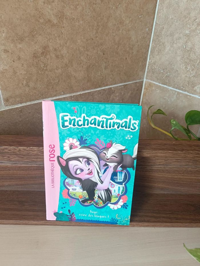 Livre enchantimals - photo numéro 2