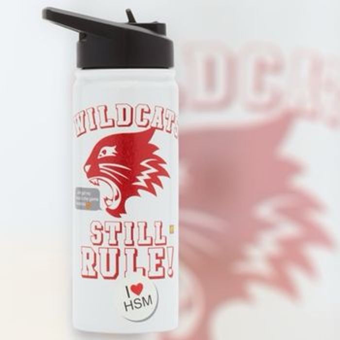 Gourde High School Musical Disney