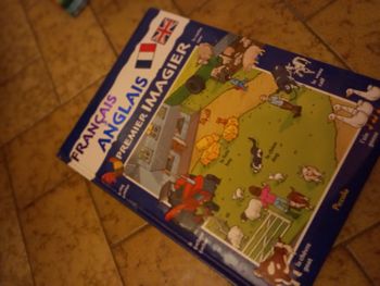 Lot d'un imagier pour apprendre l'anglais et de 3 petits livres