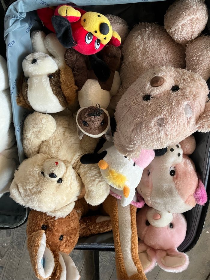 Lot peluches - photo numéro 4