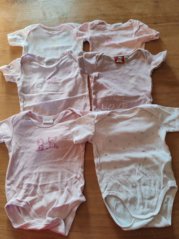 Lot bodies manches courtes