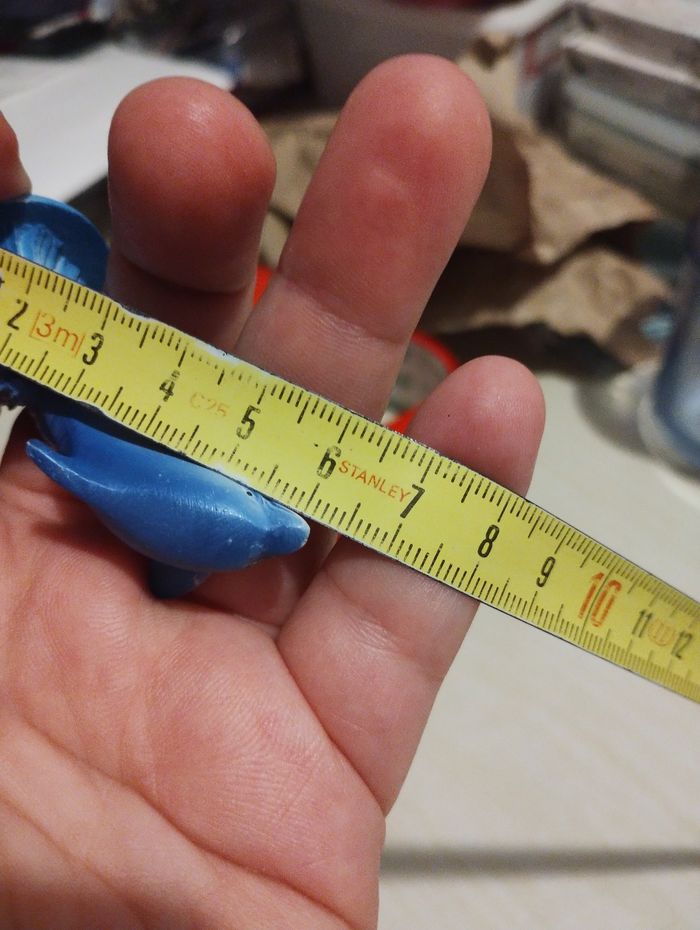 Petit dauphin - photo numéro 4