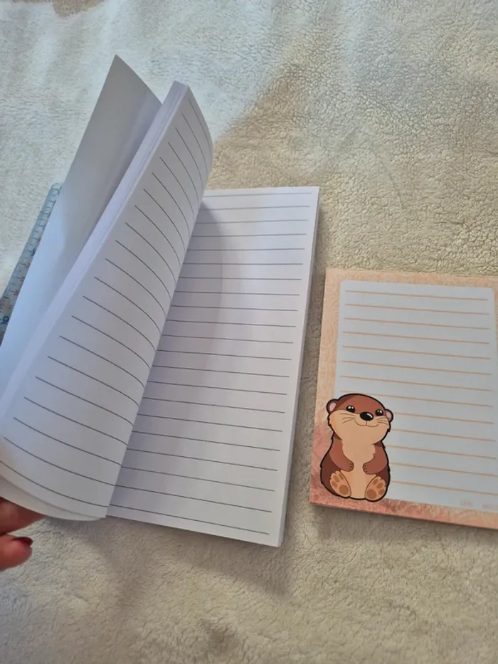 Bloc note et cahier - photo numéro 4
