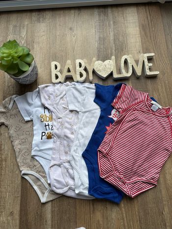 - 6 bodys MC toutes marques      - 9 mois - Très bon état