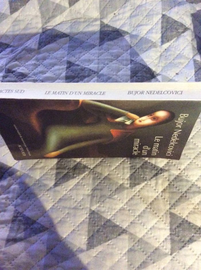 #le matin d’un mira Bujor Nedelcovici - photo numéro 4