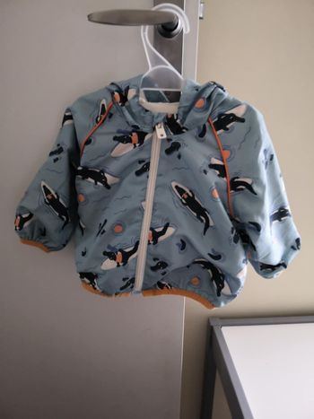 Coupe vent avec capuche (Crocodiles) 9 mois (74 cm) Kiabi