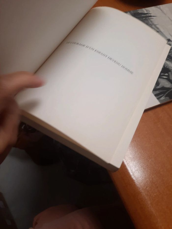 Livre extraordinaire le courage d'un enfant devenu homme - photo numéro 7
