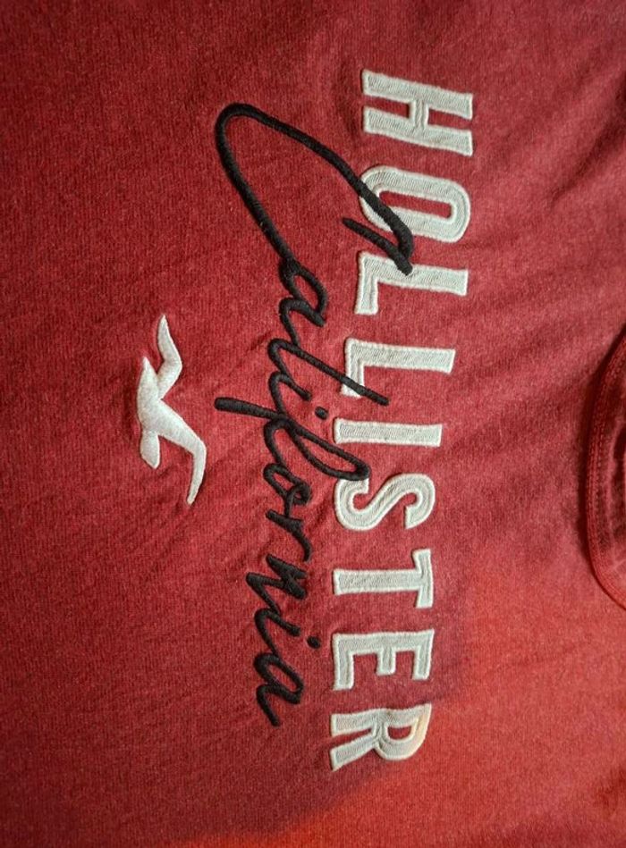 tee shirt hollister ts - photo numéro 5