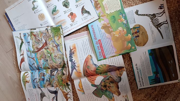 Lot de livres éducatifs sur les dinosaures - photo numéro 10