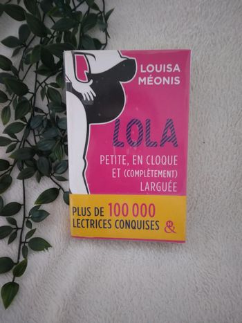 🌸Livre romance Lola petite, en cloque et complètement larguée🌸