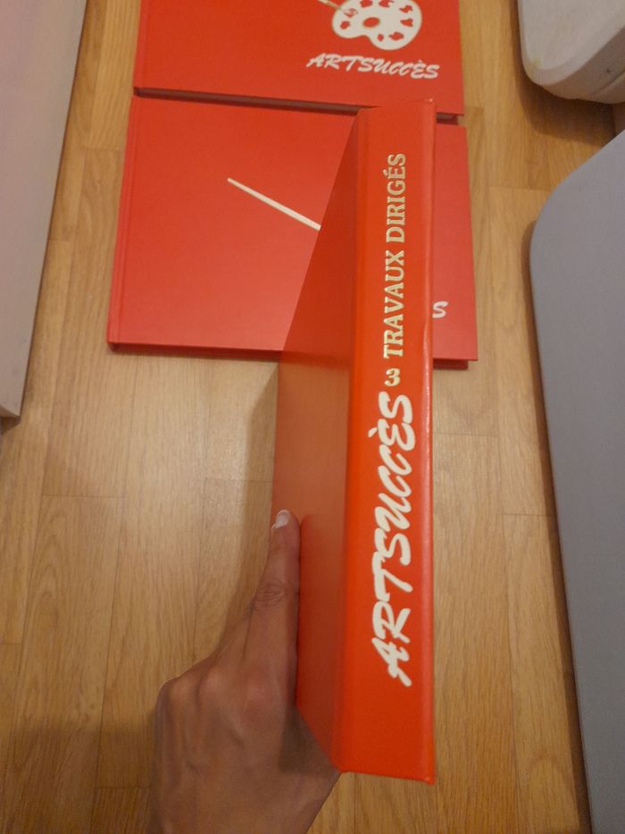 Artsuccès volumes 1-2-3 - photo numéro 5