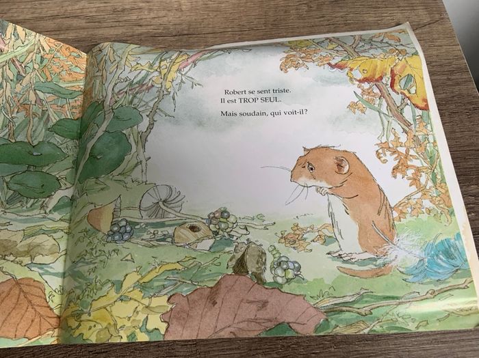 Livre pour enfants Robert Campagnol - photo numéro 2