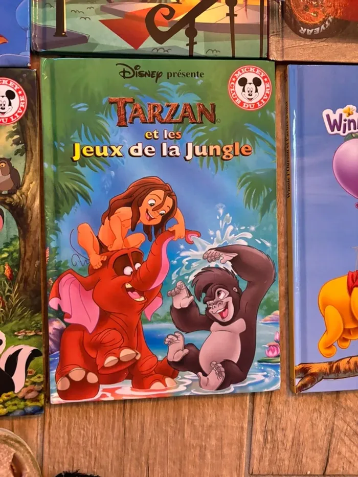 Lot de livres Disney - photo numéro 10