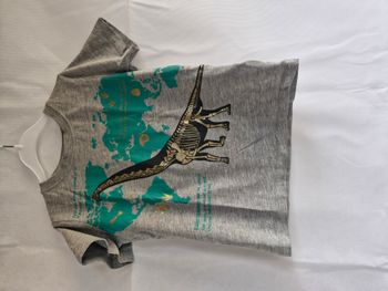 T-shirts manches courtes 2/4 ans H&M Gris chiné Squelette de dinosaure Brachiosaure carte du monde