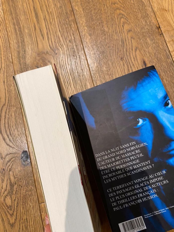 Lot de 2 livres Lévy/ Husson grands formats - photo numéro 3