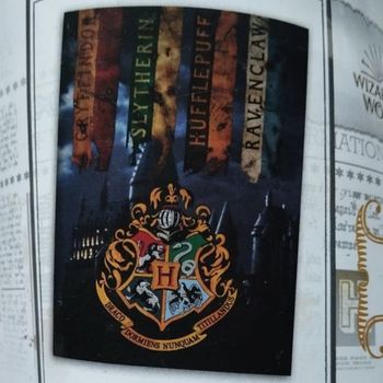 Harry Potter : Plaid Polaire 100% Microfibre 100x140cm