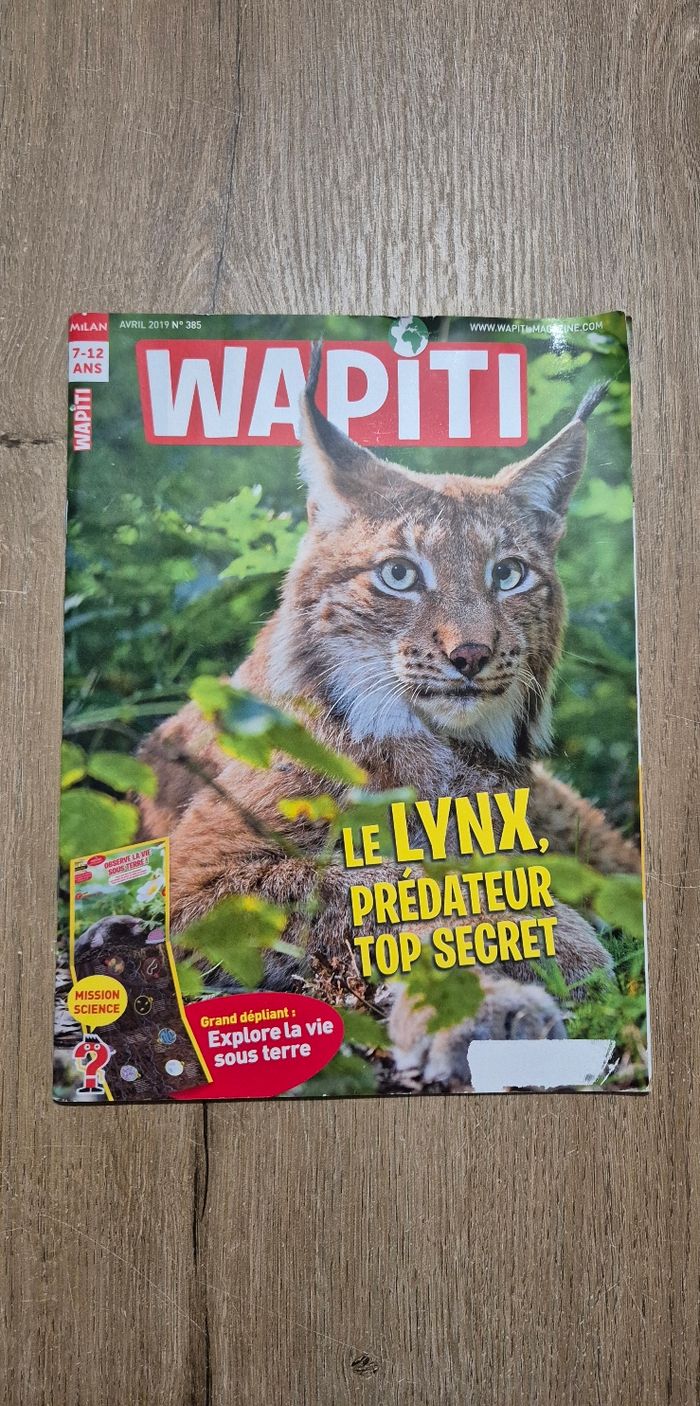 Lot magazines Wapiti - photo numéro 3