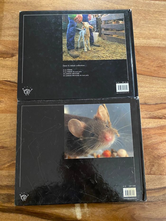 Lot de deux livres avec photos d’animaux - photo numéro 2