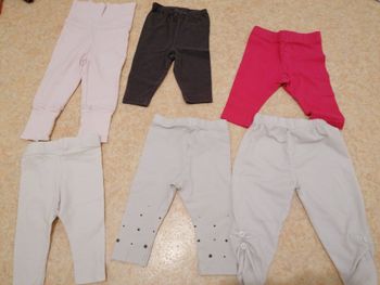lot 6 legging