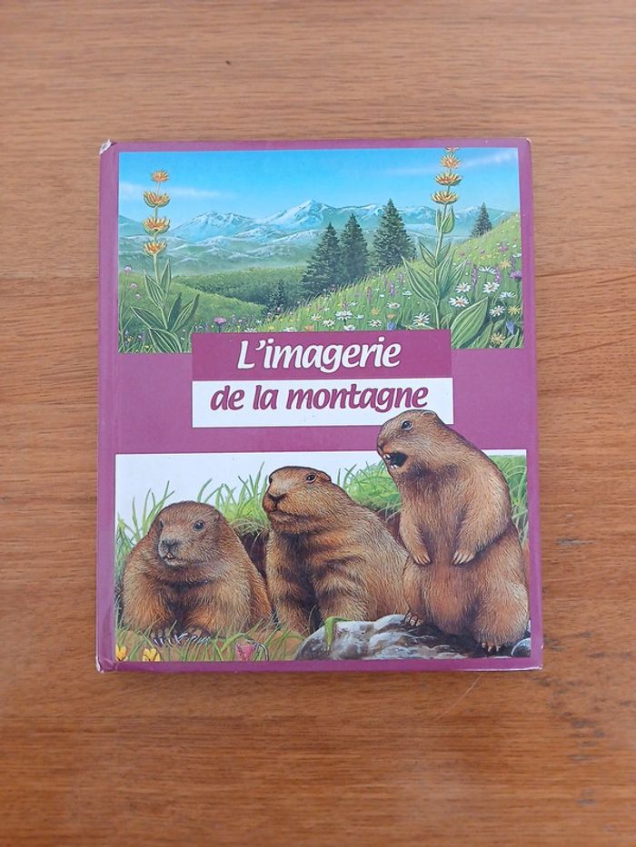 Lot L'imagerie - photo numéro 2
