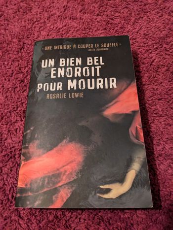 Un bien bel endroit pour mourir de Rosalie Lowie