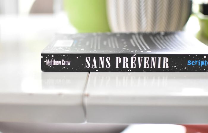 Sans prévenir - Matthew Crow - be - deux dessins à l'intérieur - photo numéro 3