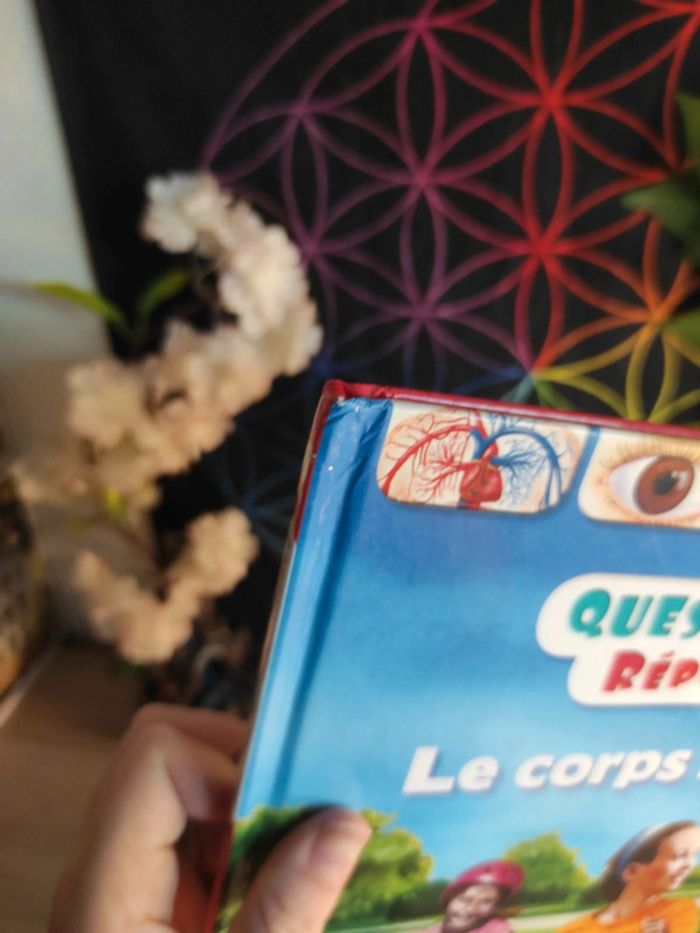 Le corps humain – Questions / Réponses – Nathan - photo numéro 5