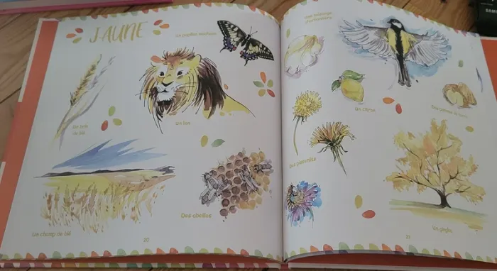 Les couleurs de la nature - photo numéro 3