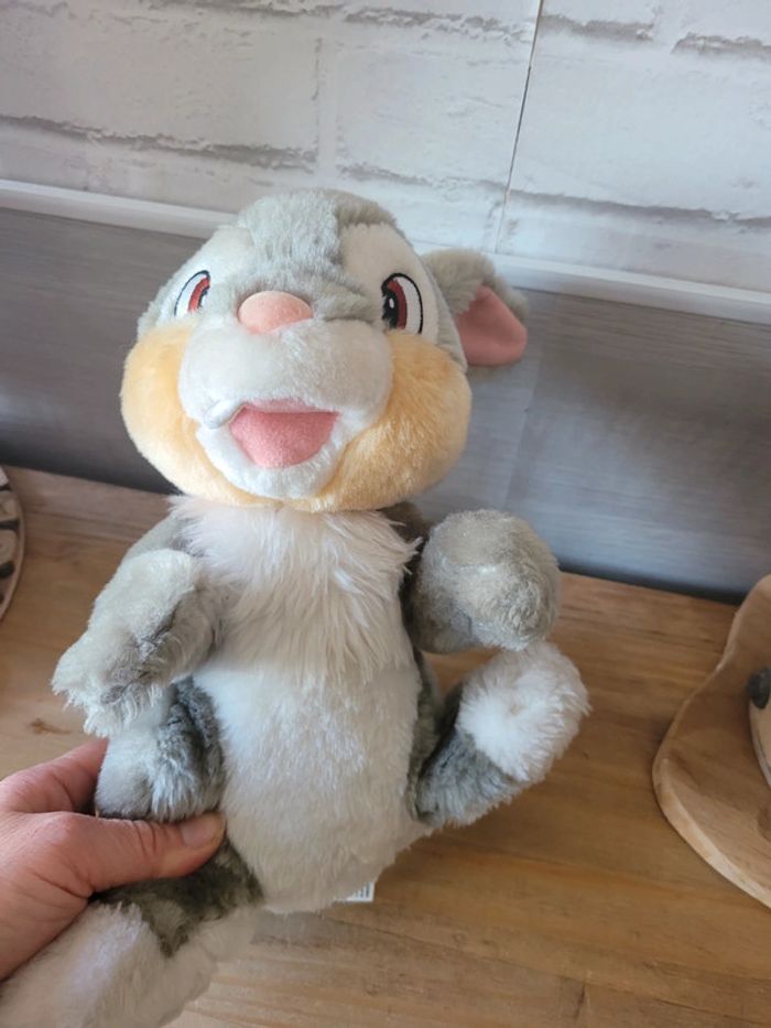 Lapin panpan - photo numéro 2